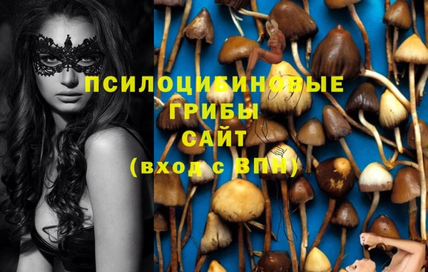 кокаин VHQ Заводоуковск