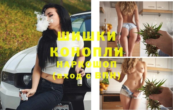 мдпв Киреевск