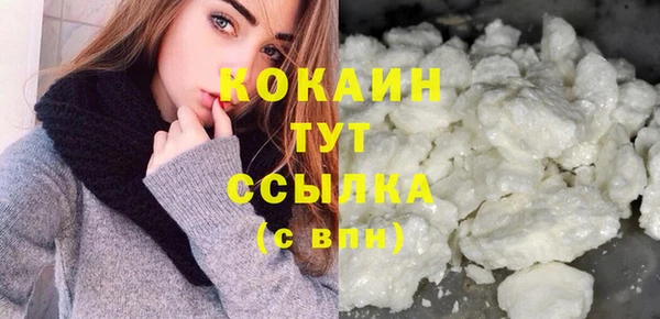 индика Кинешма